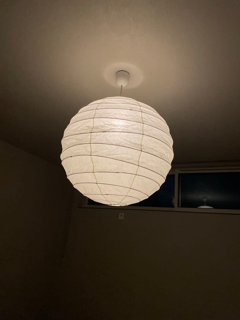 [盆栽苑]イサムノグチ akari 55D