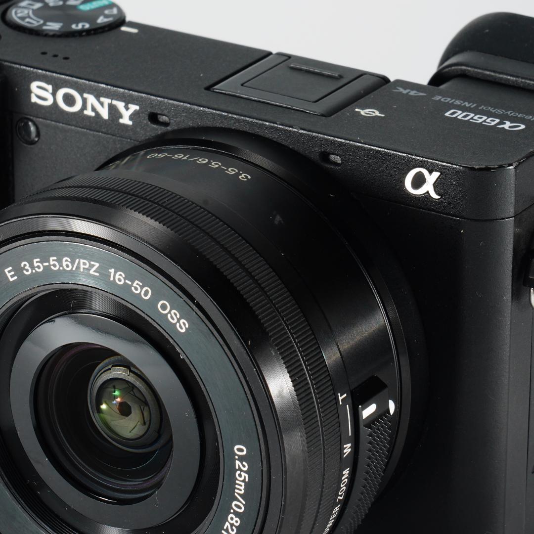 あきのもみじ SONY α6600 ミラーレス