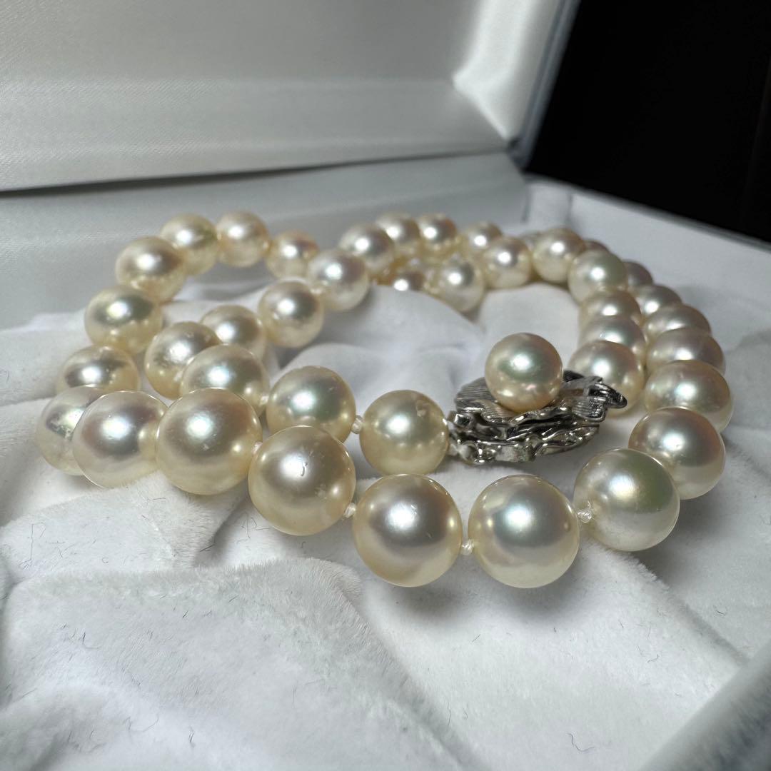 テリ良/大珠 アコヤ真珠 ネックレス パール 8.6mm 41.8g