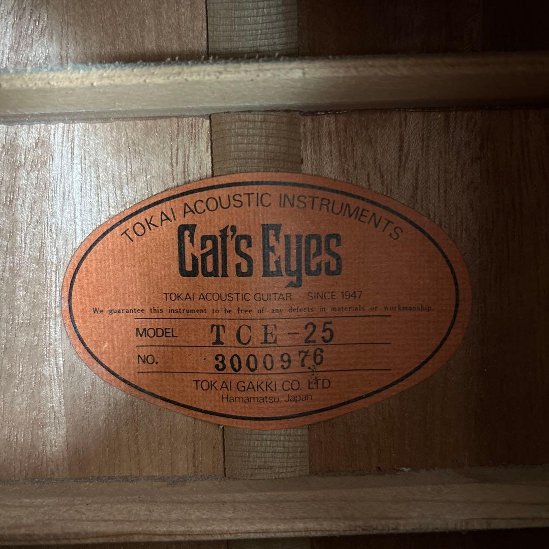 Cat's Eyas TCE-25東海楽器工房 ビンテージ