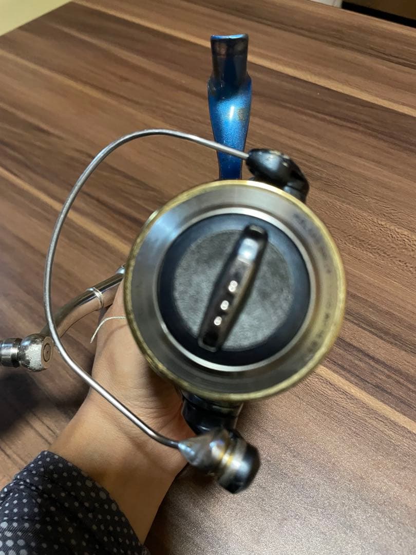 STELLA SW 8000PG ステラ