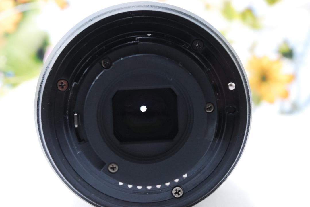 新品級✨フルセット✨Nikon AF-P 70-300mm✨超望遠レンズ✨高速