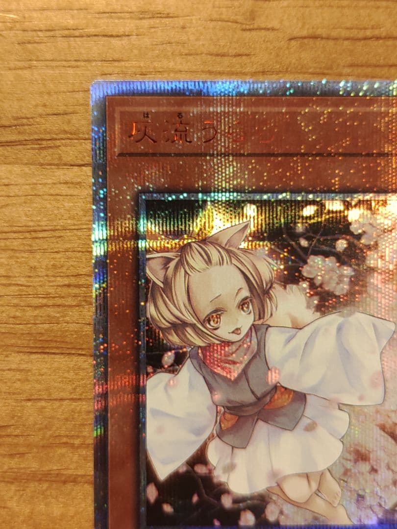 遊戯王 灰流うらら　20th　シークレット