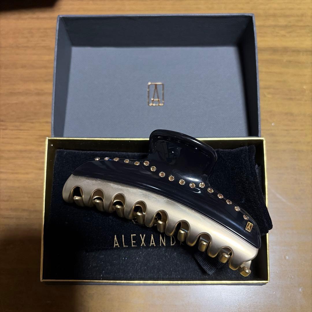 アレクサンドルドゥパリ バレッタ新品未使用