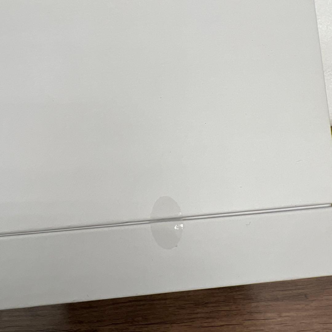 12277 SALONIA ピュアブライト スチーマー SAL22207BE