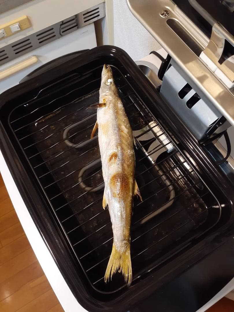 [山善] ワイドグリル フィッシュロースター マットブラック NFR-1100A