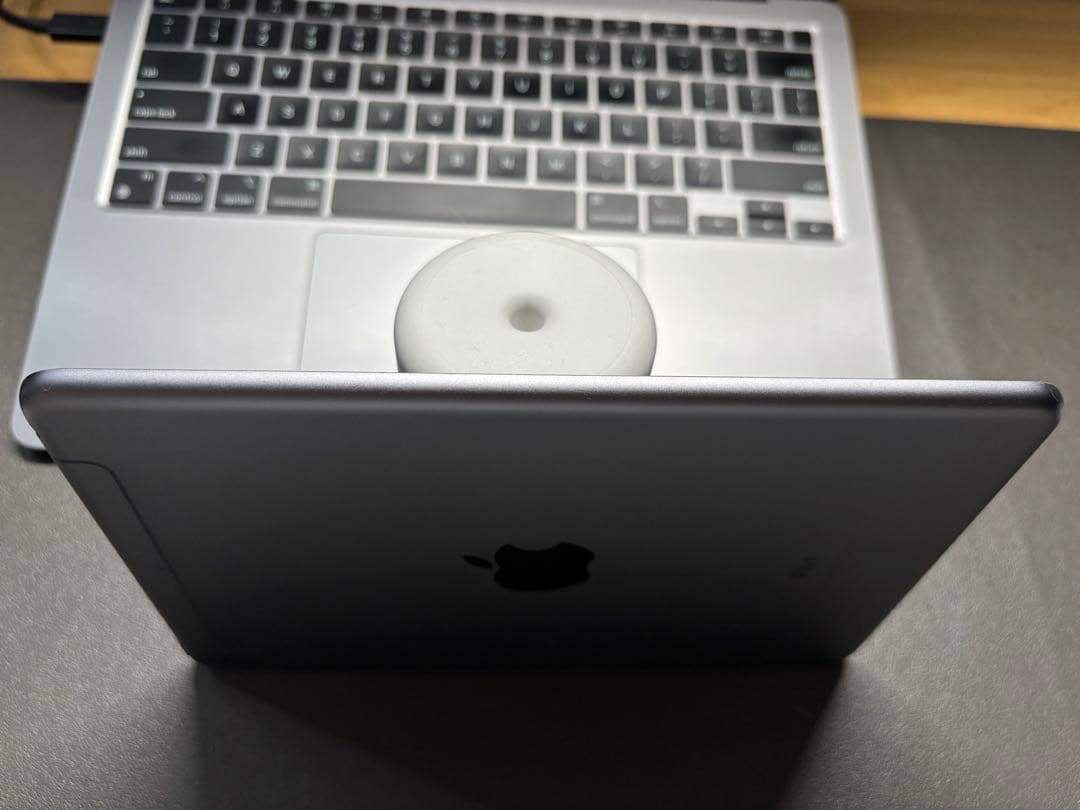 【セット売り】iPad mini 5セルラー64GB +Apple Pencil