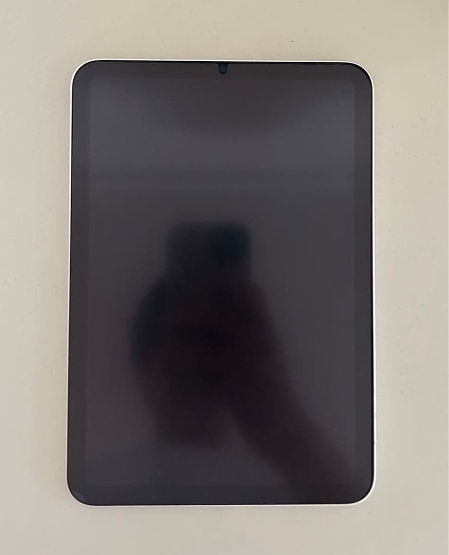 iPad mini6本体 + Apple Pencil