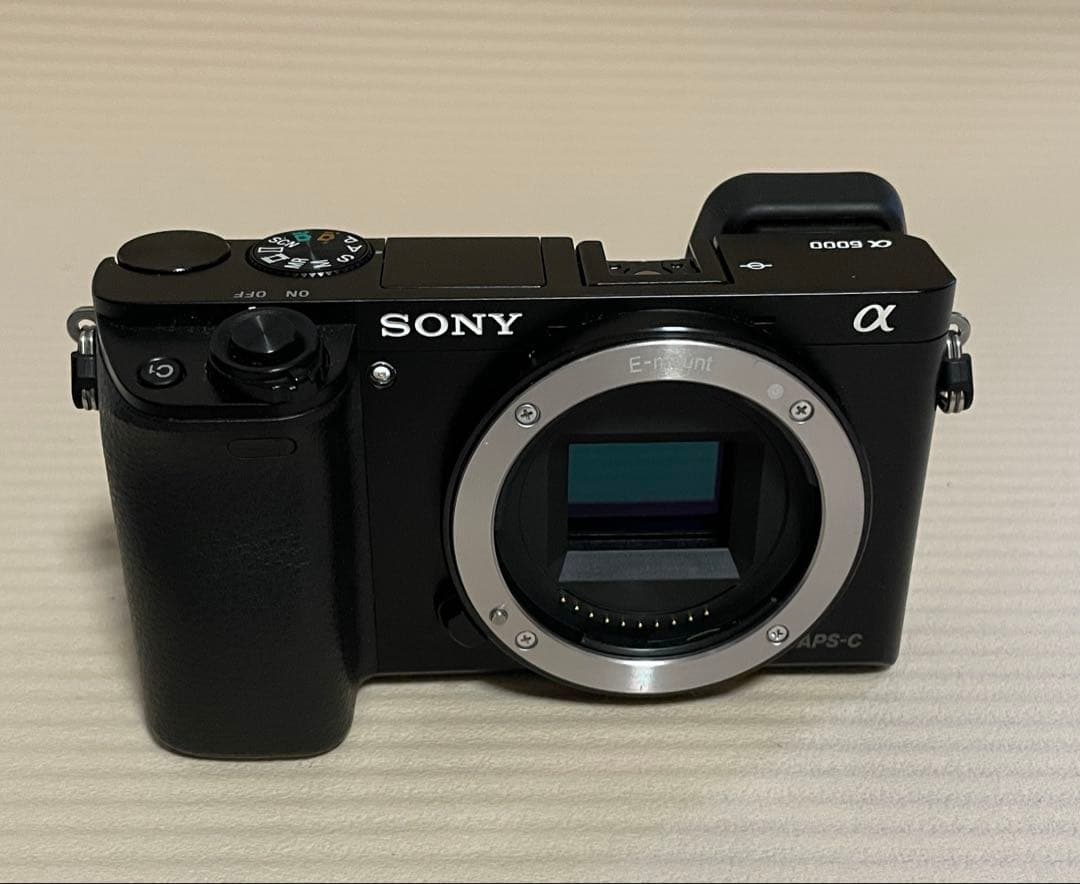 SONY α6000 ILCE-6000 動作確認済【総ショット数1557】