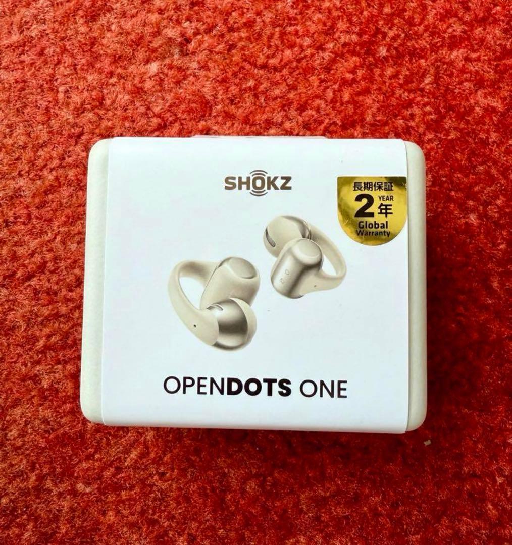 SHOKZ OPEN DOTS ONE ワイヤレスイヤフォン グレー