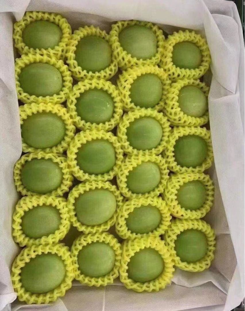 419新鮮台湾ナツメ　台湾青棗 箱込み2.5kg(１８~24玉)玉数お任せ