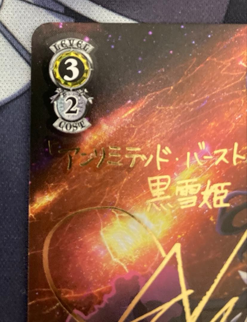 加速世界の絆　黒雪姫　サイン　sp ヴァイスシュヴァルツ　アクセルワールド