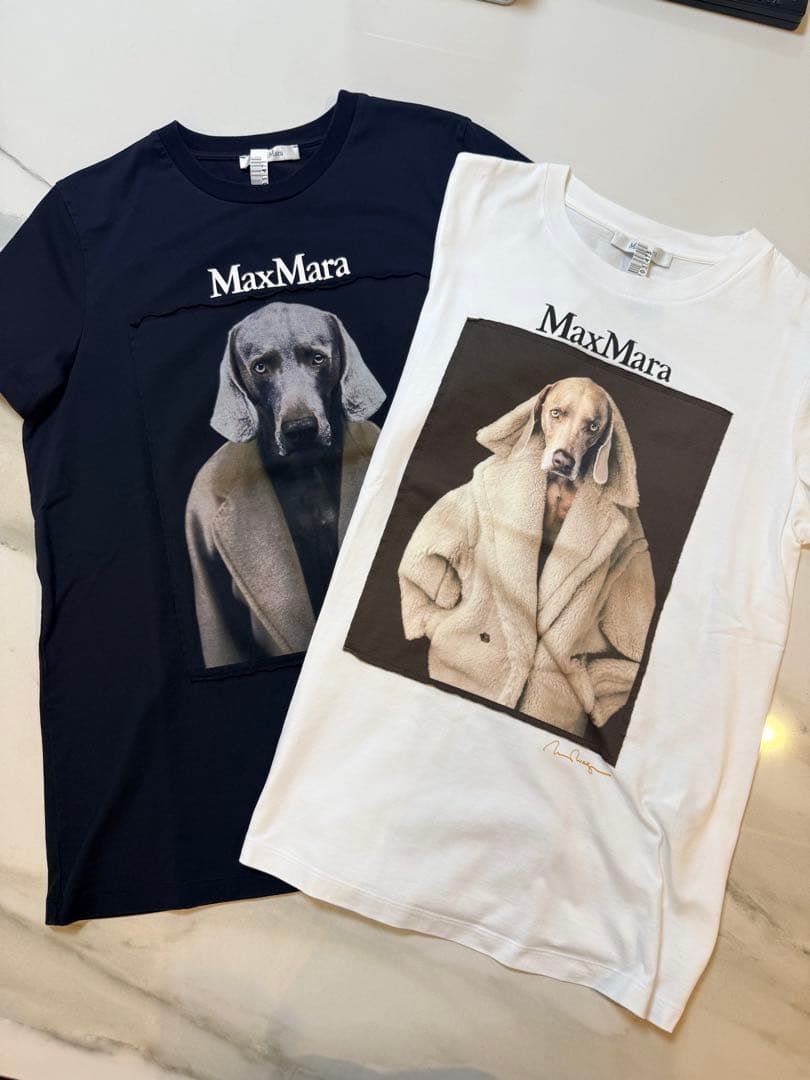 【美品】クリーニング済　マックスマーラTシャツ 2枚セット