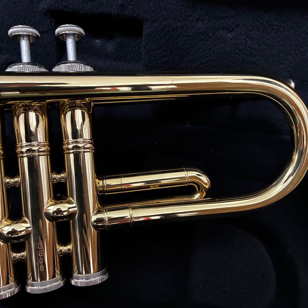 【即使用可】Kaerntner トランペット マウスピース付き