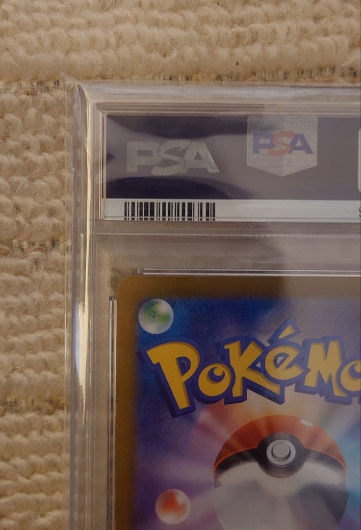 【PSA10】ミカンのまなざし　SAR