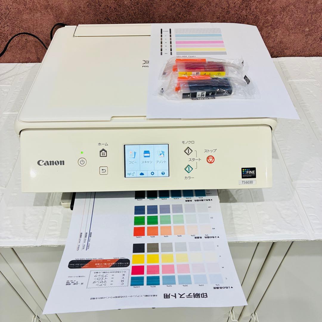 Canon PIXUS TS6030 キヤノン　使用枚数少　インク激安