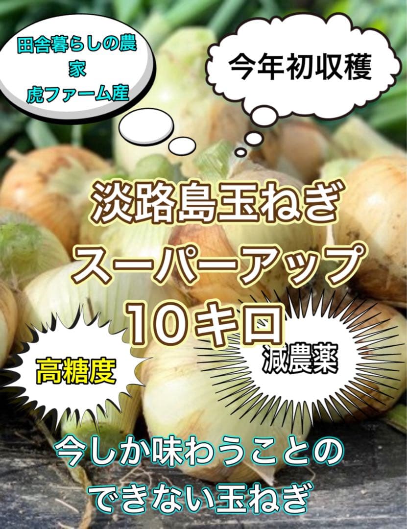 淡路島産淡路島新玉ねぎ秀品10キロ高糖度、減農薬、農家