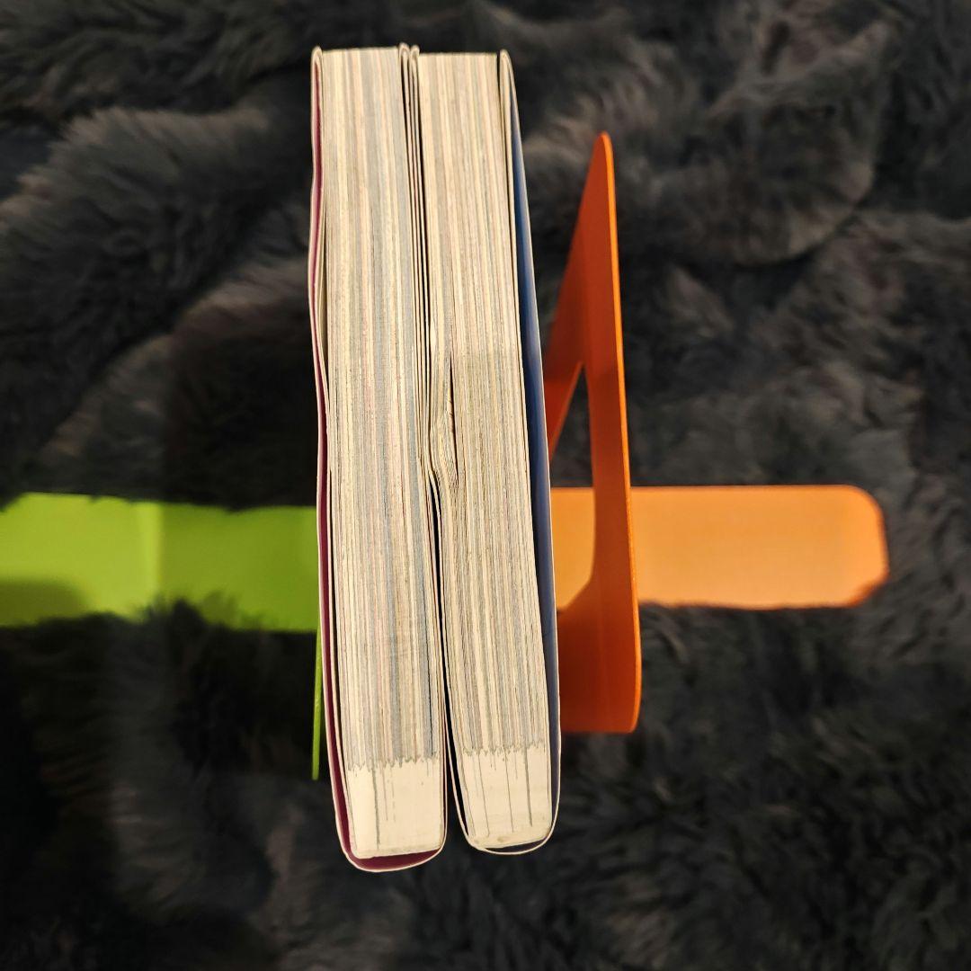 ある日、お姫様になってしまった件について 12巻セット