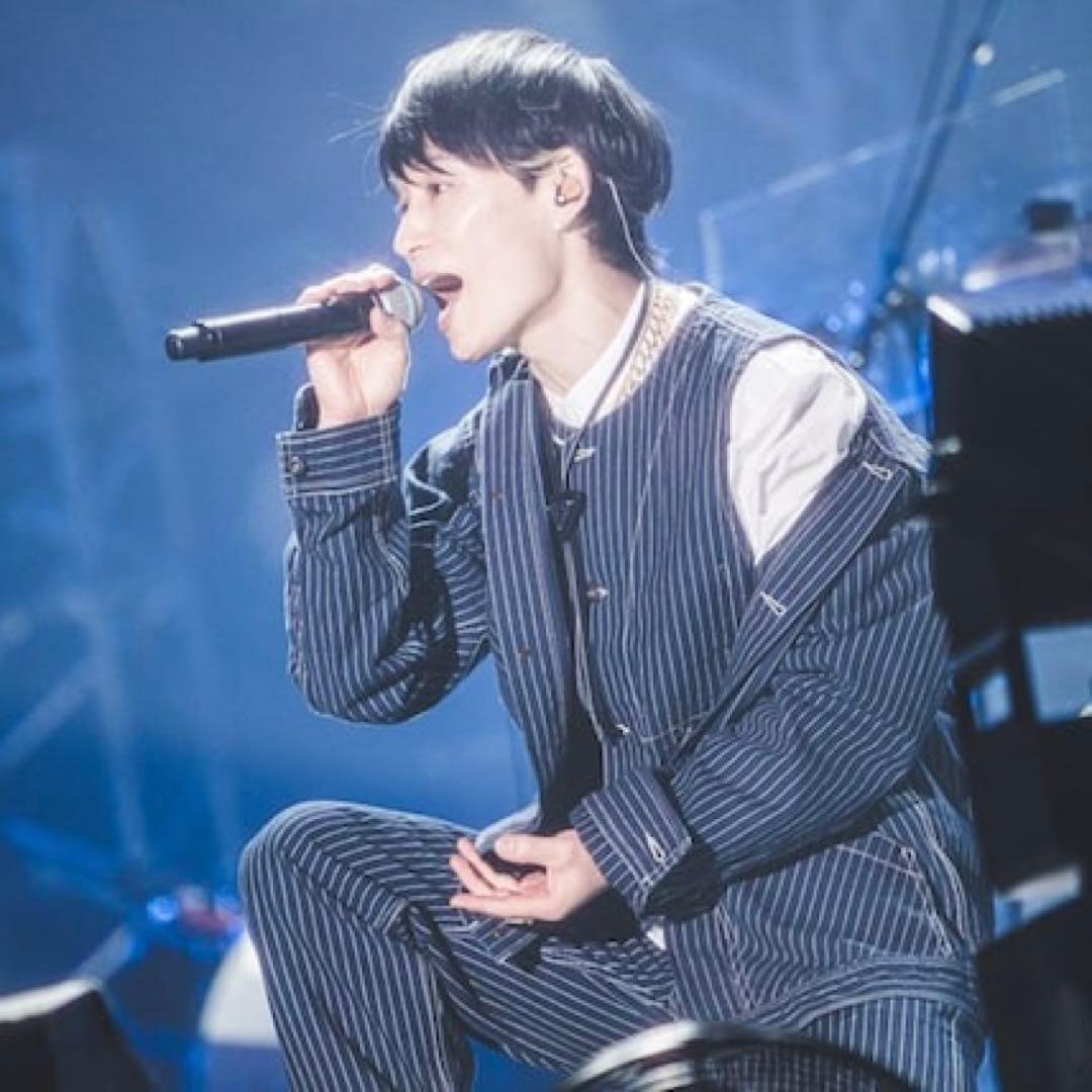 Schott ヒッコリー ベスト