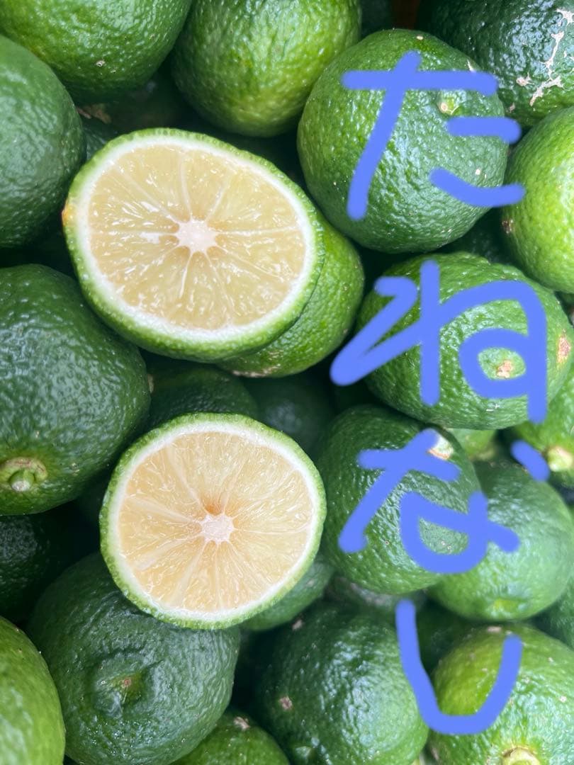 青柚子　種無し　小ぶり　コメント