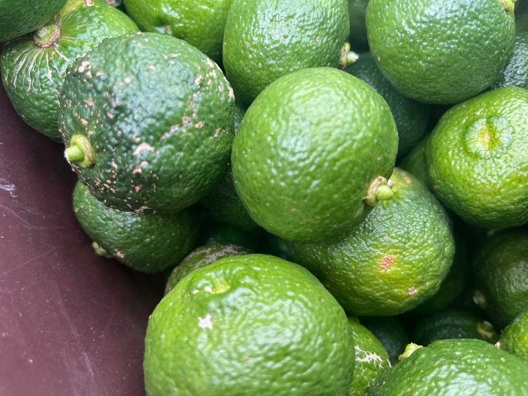 青柚子　種無し　小ぶり　コメント