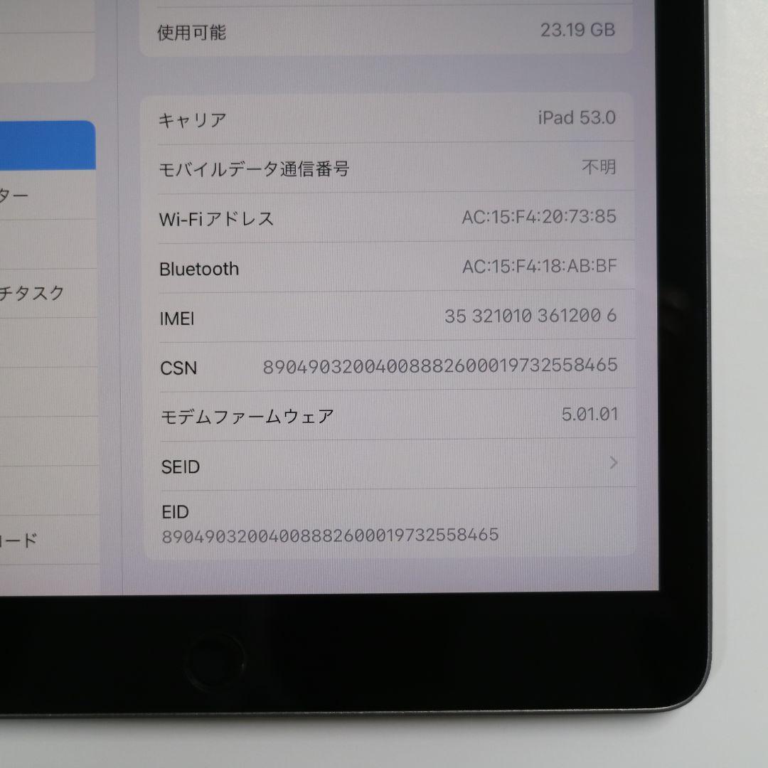 【背面汚れ】iPad (第7世代) 32GB wi-fi+Cellular