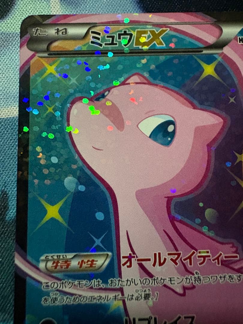 確認用（購入された場合は愛犬の写真送ります）