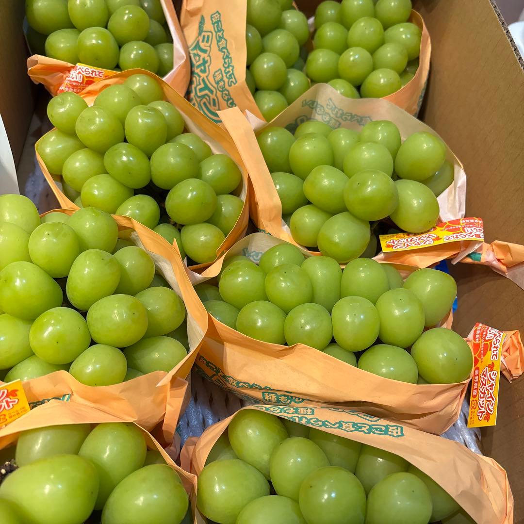 シャインマスカット 秀品9房 5キロ JAみなみ信州