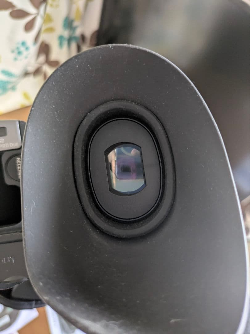 Sony HDR-AX2000 ビデオカメラ ケース