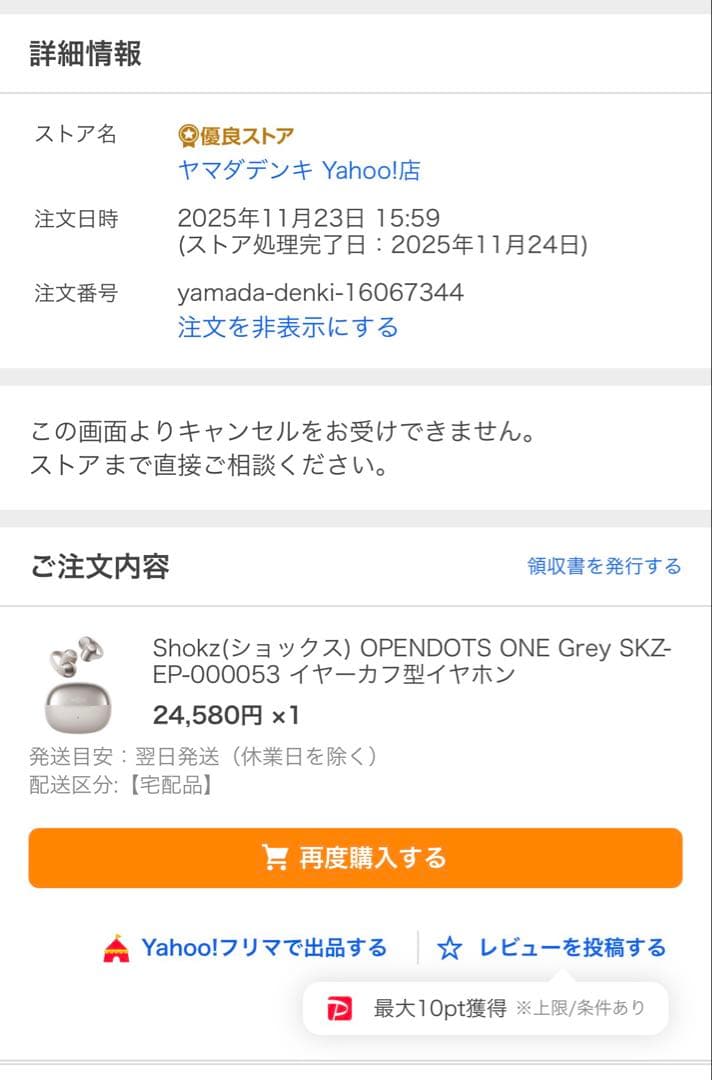 【美品】 Shokz OpenDots ONE グレー　ケース付き