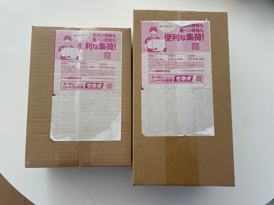 ポケモンカードスペシャルBOXヒロシマ& ムニキスゼロ BOX