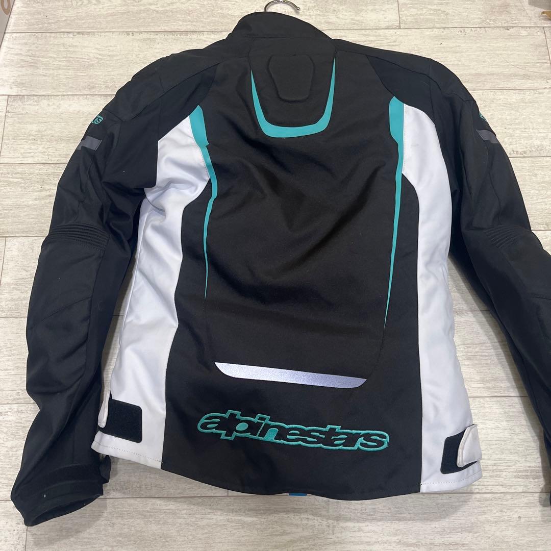 アルパインスターズ　ステラ　レディースS