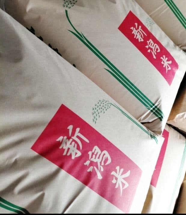 令和7年新潟県産コシヒカリ10㌔