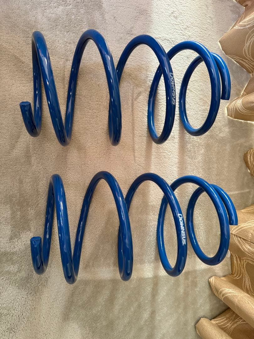 ESPELIR ハイパフォーマンススプリング T-8662 S/DOWNSUS