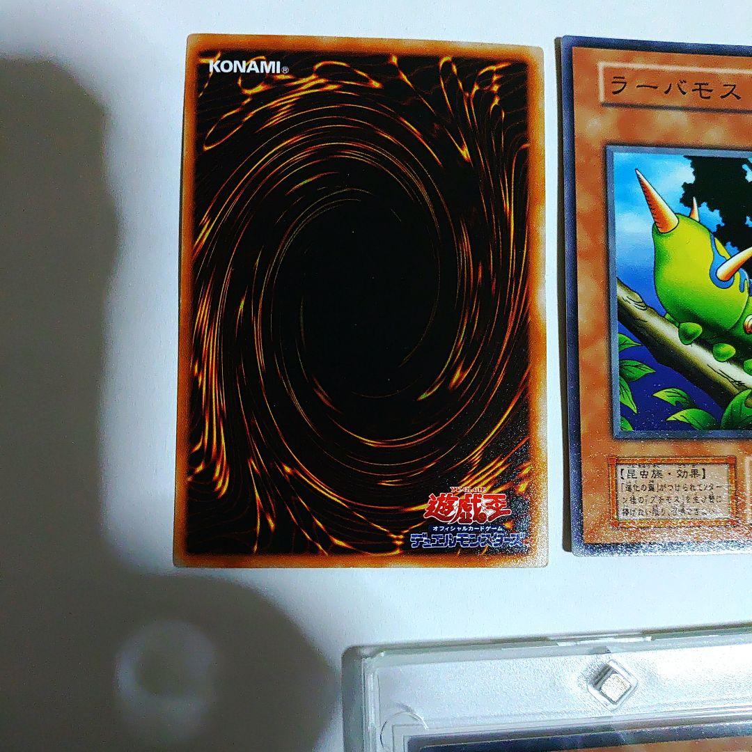 初期の進化の繭セット