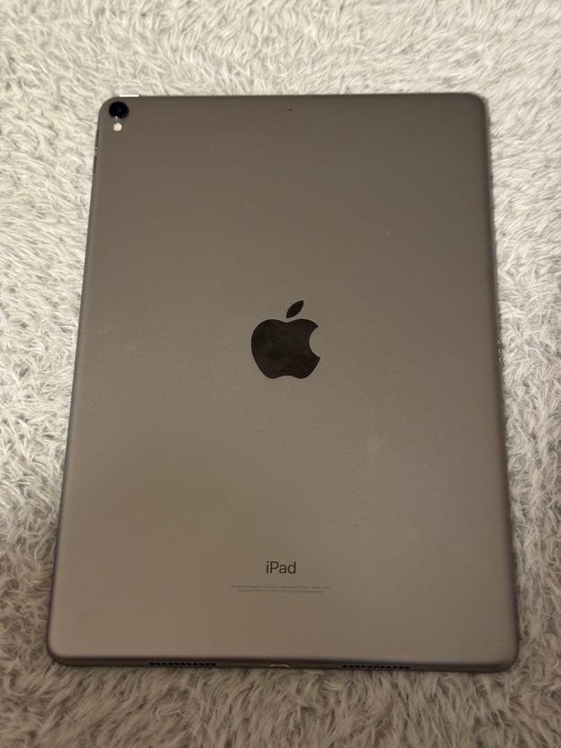 iPad pro 10.5インチ　256GB