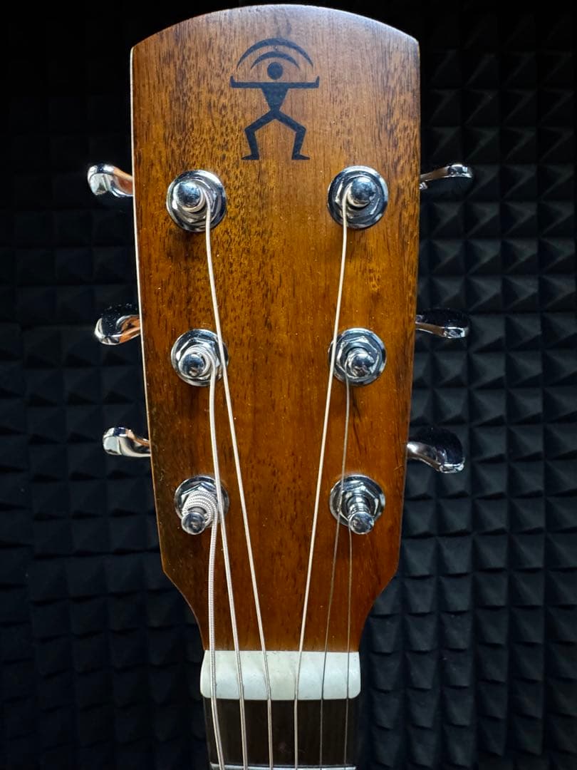 aNueNue L10E (エレアコモデル)