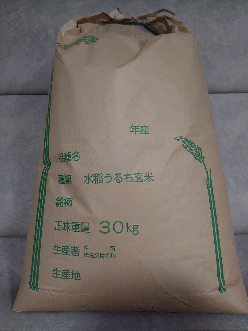 令和7年度 新米 中米 群馬県産 あさひの夢 玄米30㎏