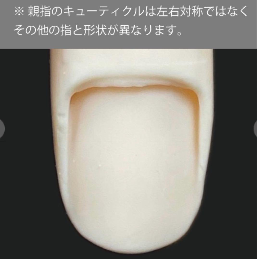 ネイリスト検定認定モデルハンド セット