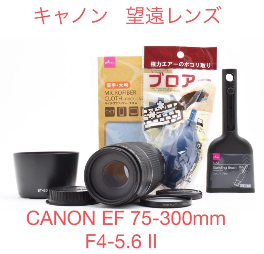 美品/望遠レンズCANON EF 75-300mm F4-5.6 III