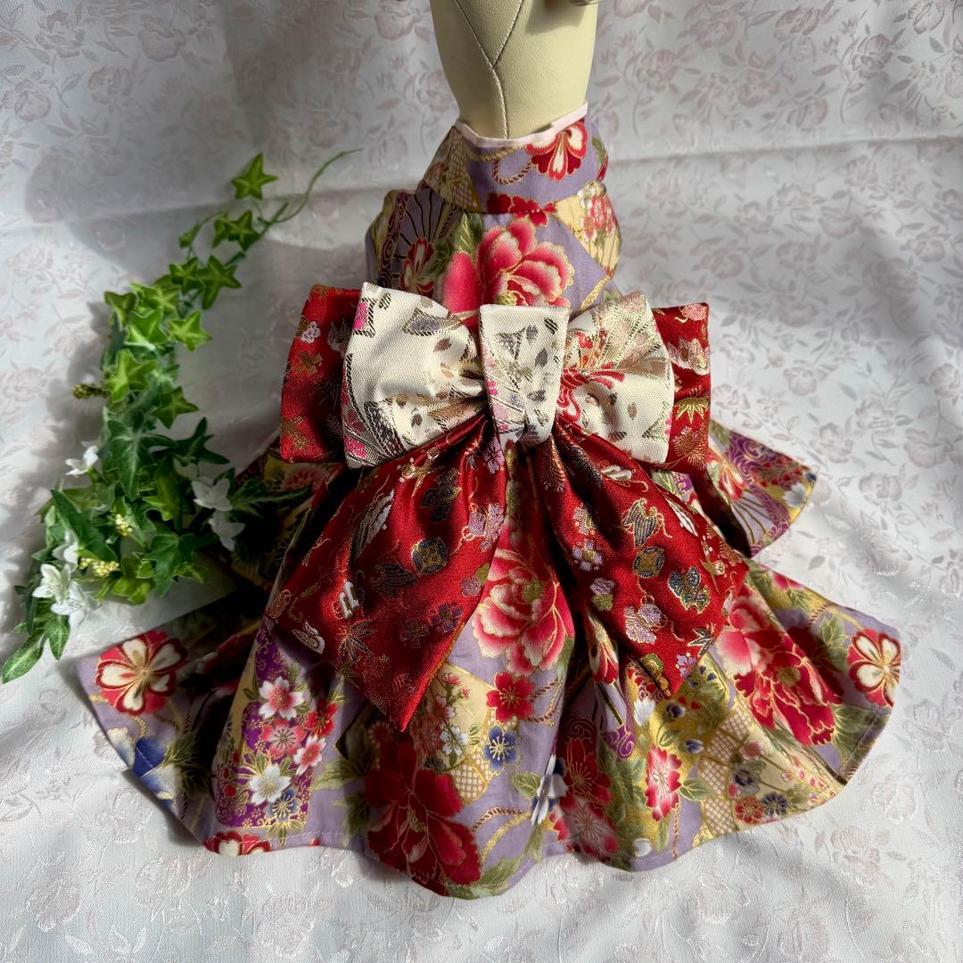 ☆ タッタ君あらわる ☆