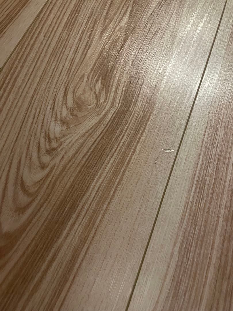 サーフィン・ボディボード Sapp