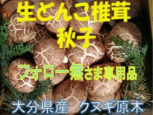 フォロー無しでのお値下げさまご予約専用 大分県特産 生どんこ椎茸「秋子」ダブル