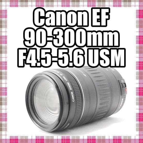 ✨美品✨望遠レンズ✨Canon EF 90-300mm F4.5-5.6 USM