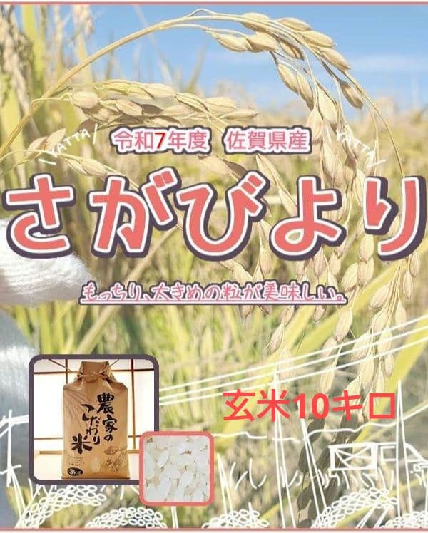 さがびより 玄米10キロ 令和7年度佐賀県産
