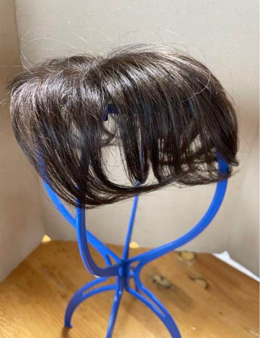 LEONKA 部分ウィッグ（SF-T305）