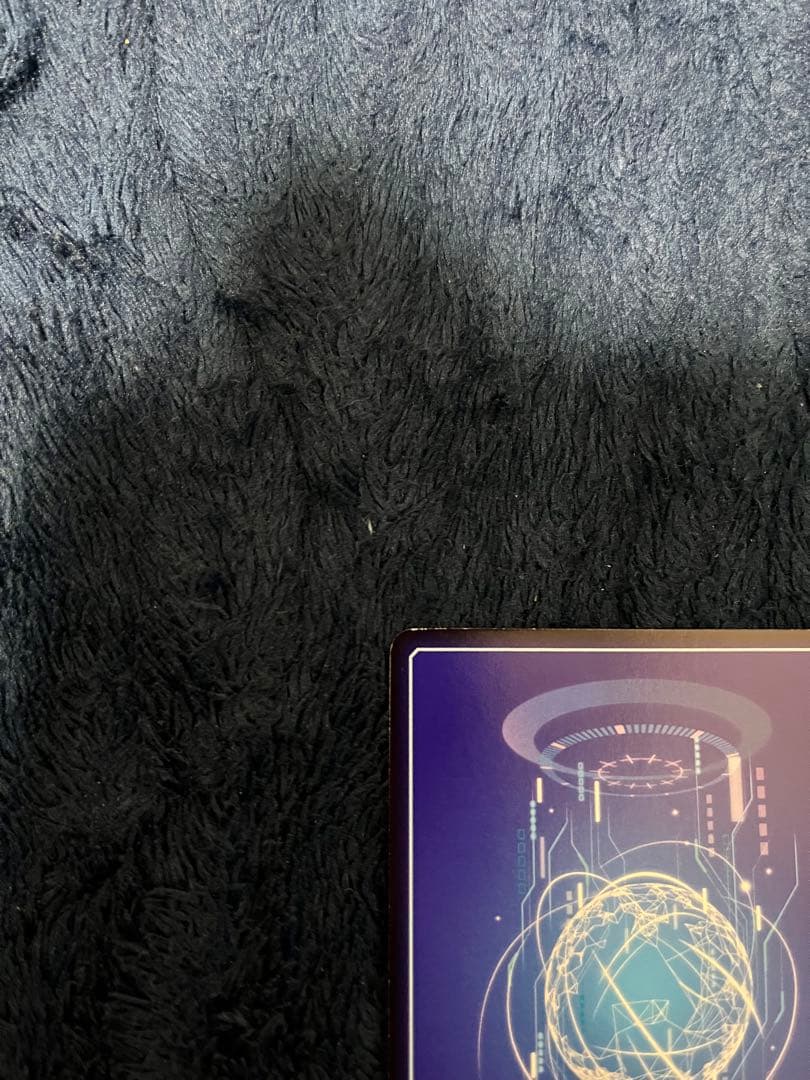 デジモンカード　パイルドラモン　パラレル　アルティメットカップ