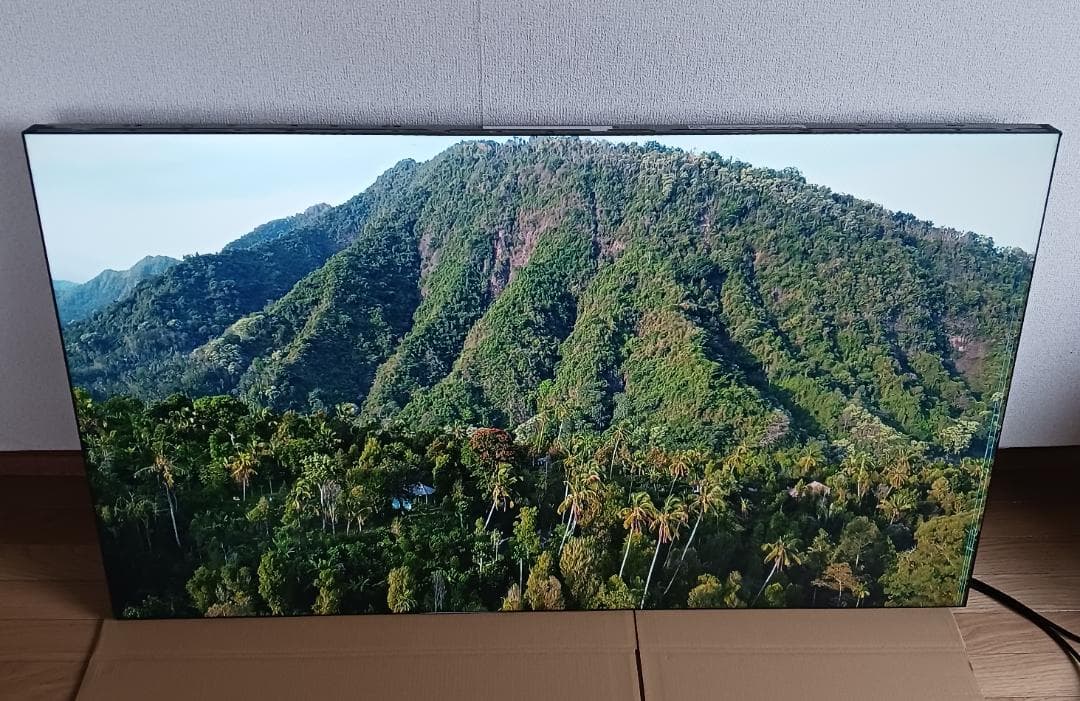 シャープ　55インチ インフォメーションディスプレイ PN-V551　①