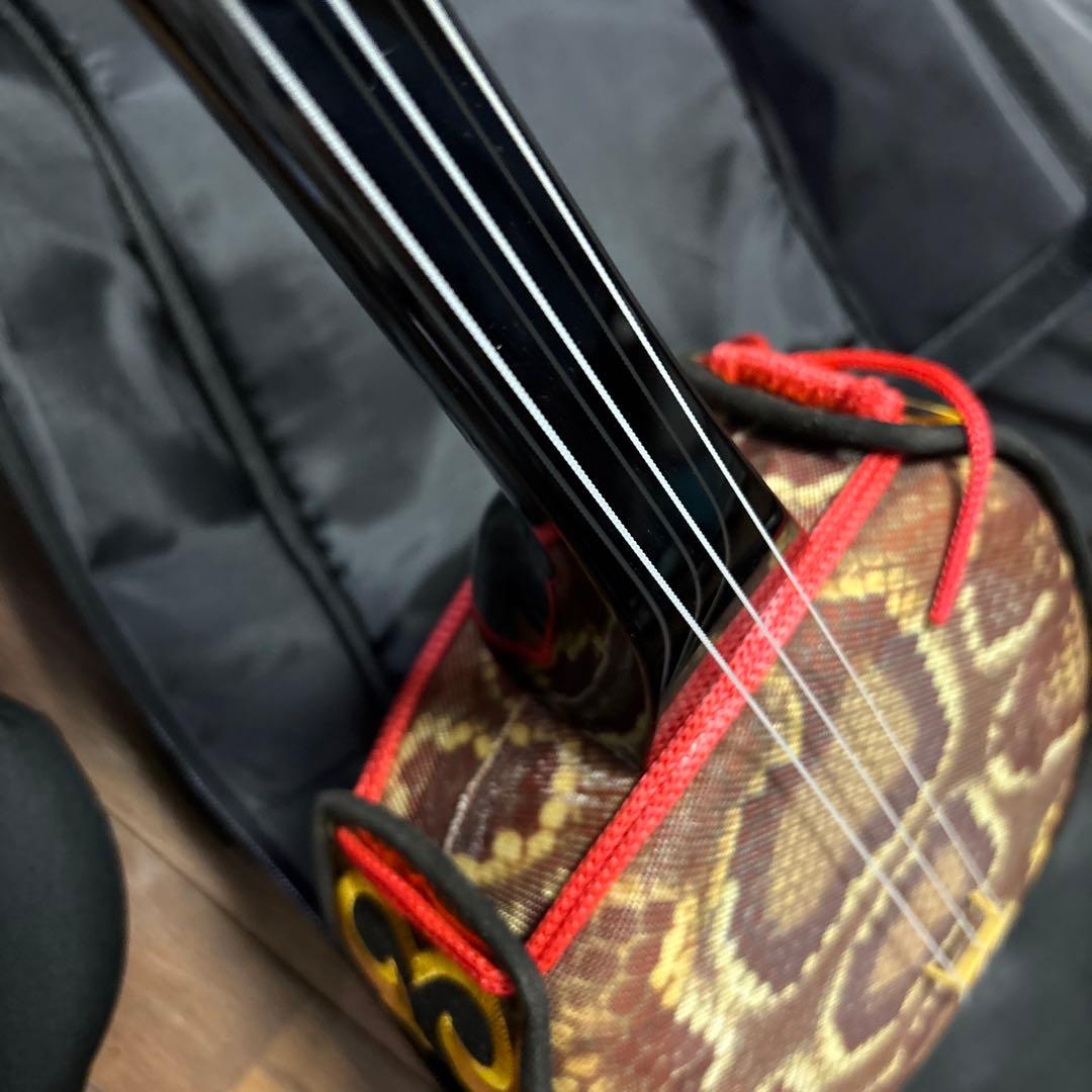 三線　沖縄三線　ケース付き　ジャンク渡し