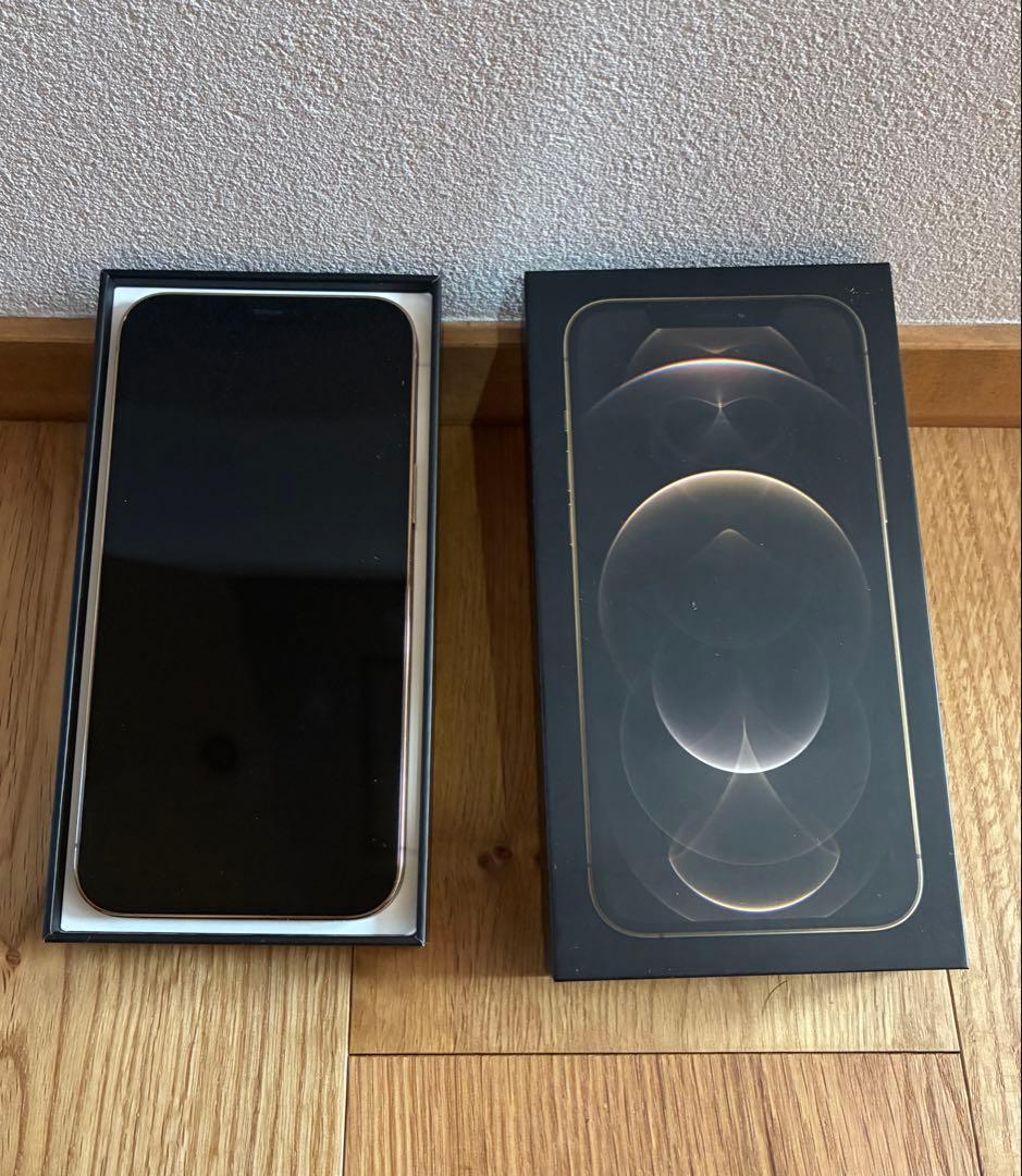 iPhone 12 Pro Max本体